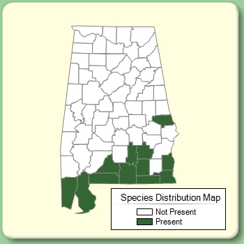 Species Distribution Map