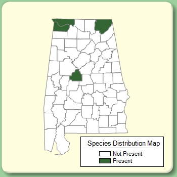 Species Distribution Map