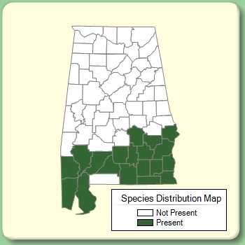 Species Distribution Map