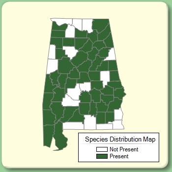 Species Distribution Map