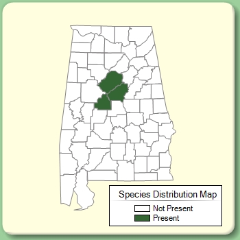 Species Distribution Map