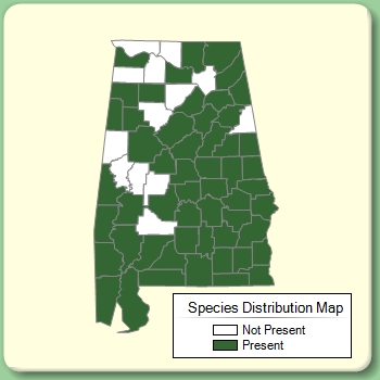 Species Distribution Map