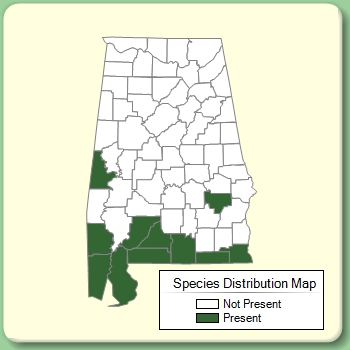 Species Distribution Map