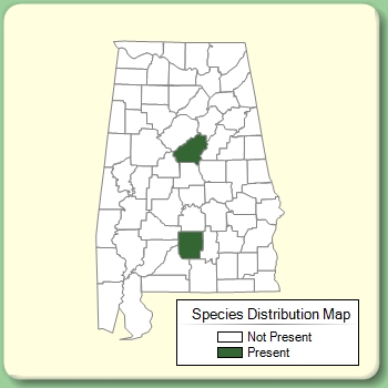 Species Distribution Map