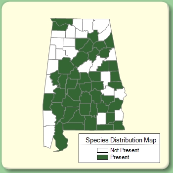 Species Distribution Map