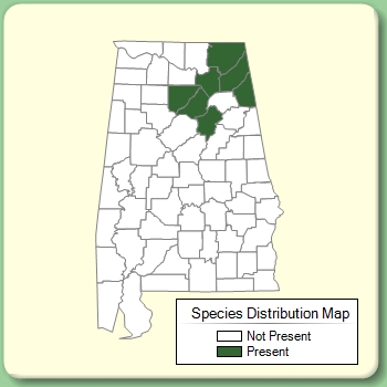 Species Distribution Map