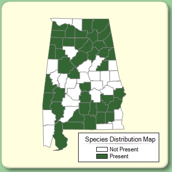 Species Distribution Map