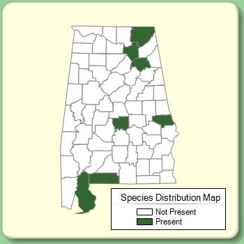 Species Distribution Map