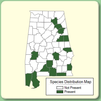 Species Distribution Map