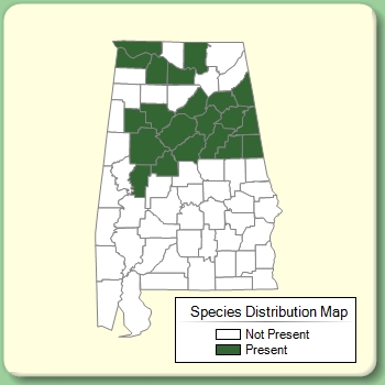 Species Distribution Map