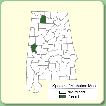 Species Distribution Map