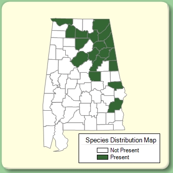 Species Distribution Map