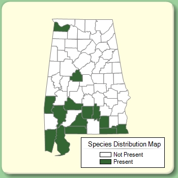 Species Distribution Map