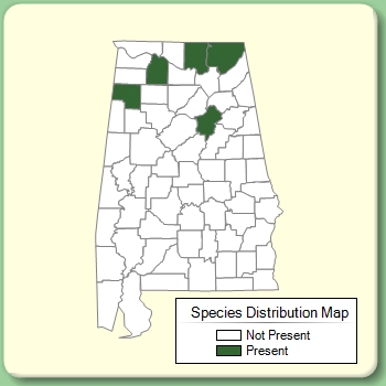 Species Distribution Map