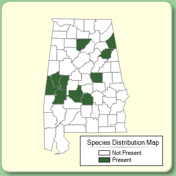 Species Distribution Map