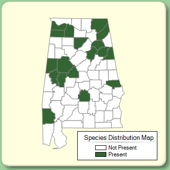 Species Distribution Map