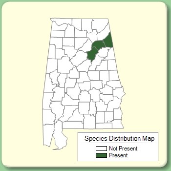 Species Distribution Map