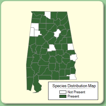 Species Distribution Map