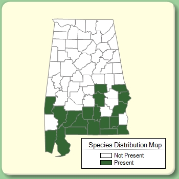 Species Distribution Map