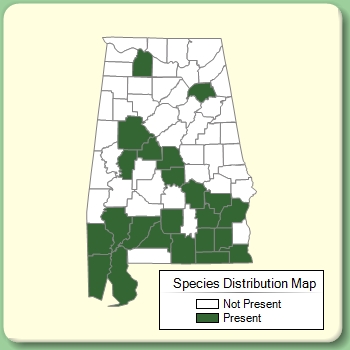 Species Distribution Map