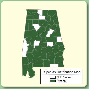 Species Distribution Map