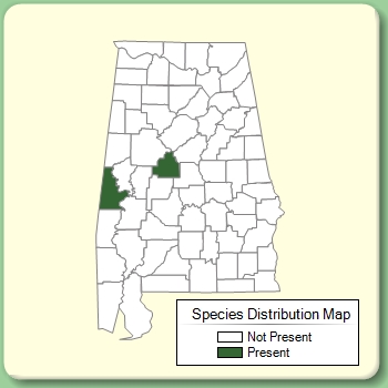 Species Distribution Map