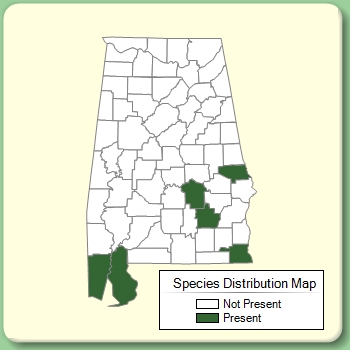 Species Distribution Map