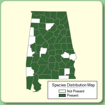 Species Distribution Map