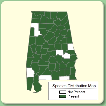 Species Distribution Map