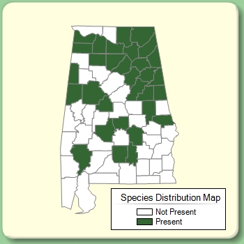 Species Distribution Map