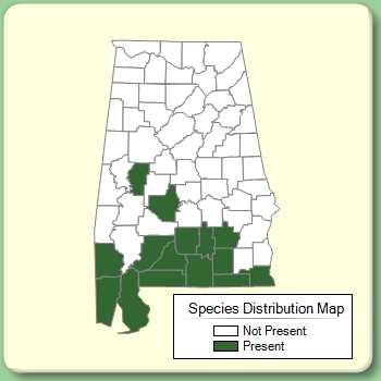 Species Distribution Map