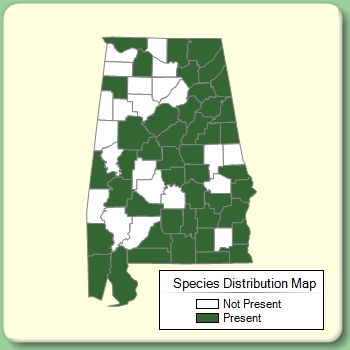 Species Distribution Map