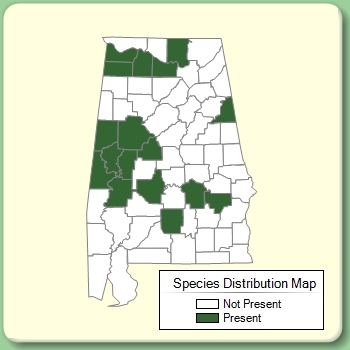 Species Distribution Map