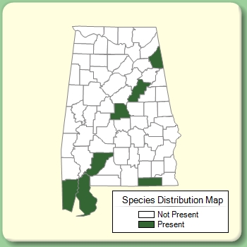 Species Distribution Map