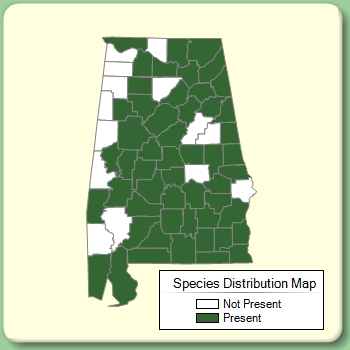 Species Distribution Map