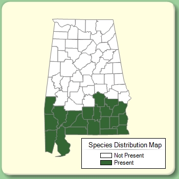 Species Distribution Map