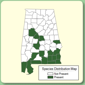 Species Distribution Map