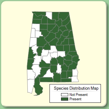 Species Distribution Map