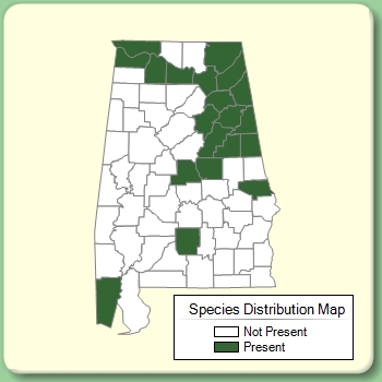 Species Distribution Map