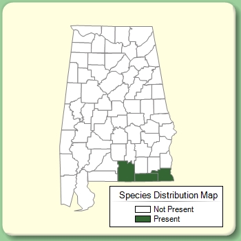 Species Distribution Map