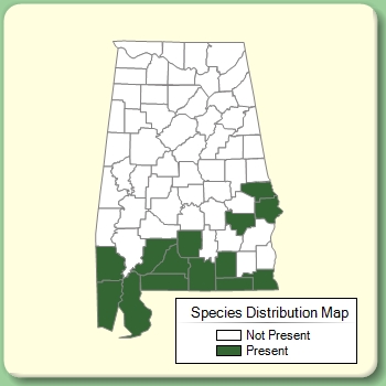 Species Distribution Map