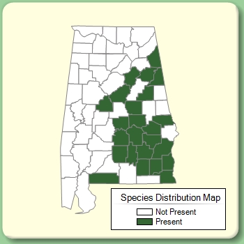 Species Distribution Map