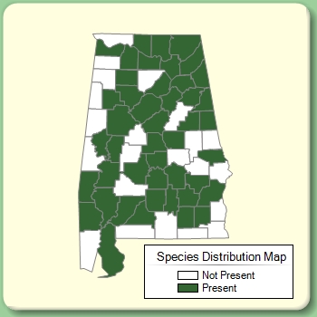 Species Distribution Map