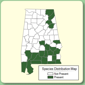 Species Distribution Map