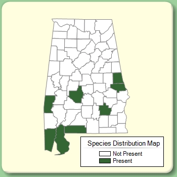 Species Distribution Map