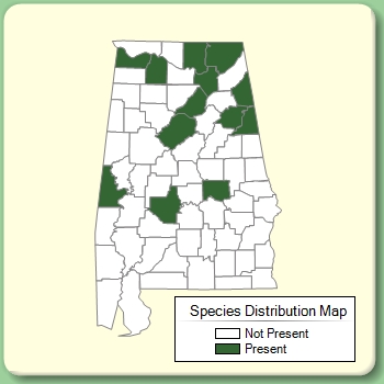 Species Distribution Map