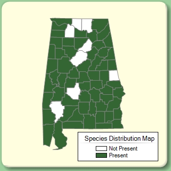 Species Distribution Map