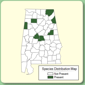 Species Distribution Map