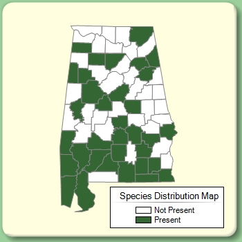 Species Distribution Map