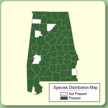 Species Distribution Map